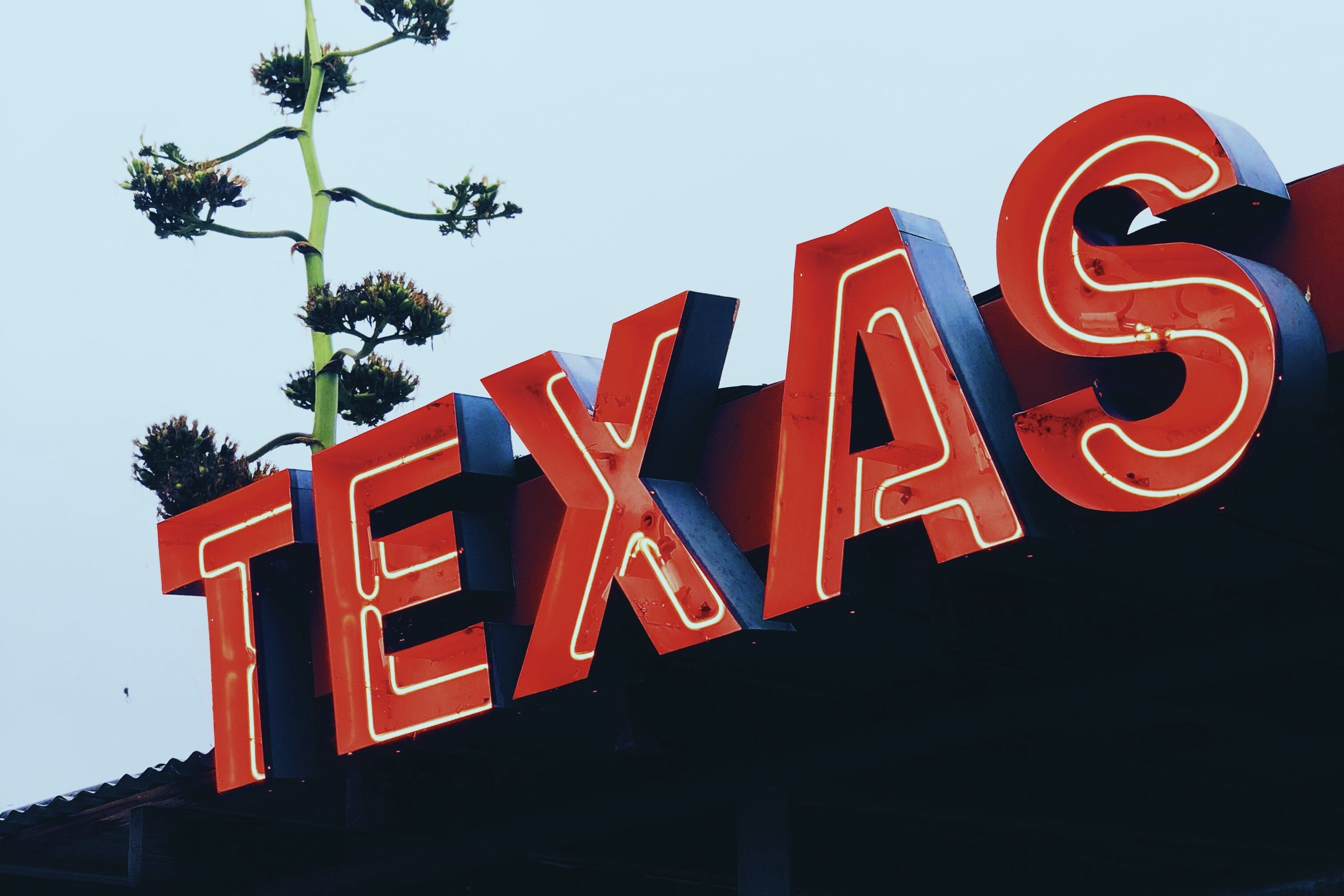 A North Texas main street at dusk with local shops lit up